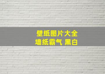 壁纸图片大全墙纸霸气 黑白